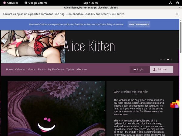 Alice Kitten Discount Login
