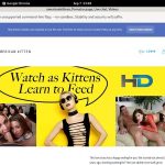 Americankittens Free Full Videos