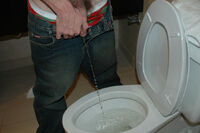 Big Boys Pissing s6 Big Boys Pissing s6
