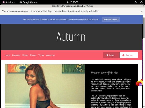 Bittykitty.modelcentro.com With WTS (achdebit.com)