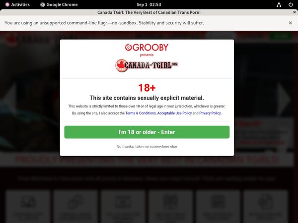 Canada-tgirl.com Free Premium Passwords