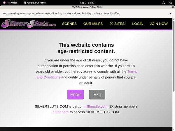 Discount Silversluts.com Promo Code