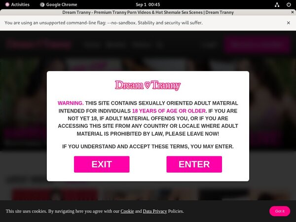 Dream Tranny Accounts And Passwords Dream Tranny Accounts And Passwords