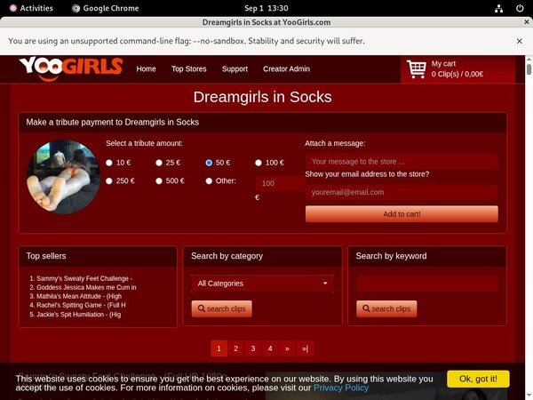 DreamgirlsInSocks Login Ids
