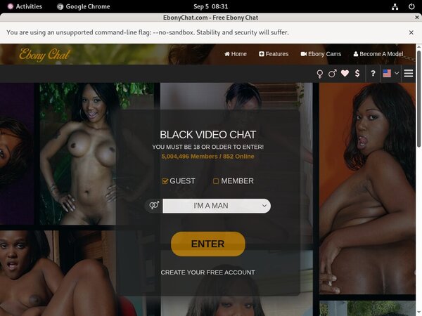 Ebony Chat Netcash