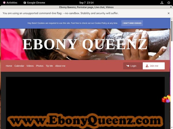 EbonyQueenz Pornhub