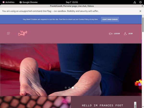 Frances.modelcentro.com Limited Time Offer
