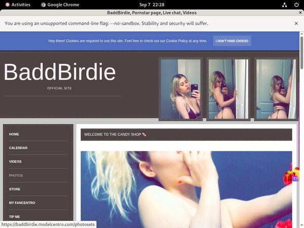 Free BaddBirdie Premium Login