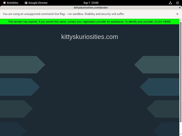 Free Watch Kitty's Kuriosities