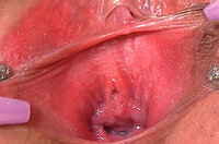 Gape My Pussy Bank Payment s4