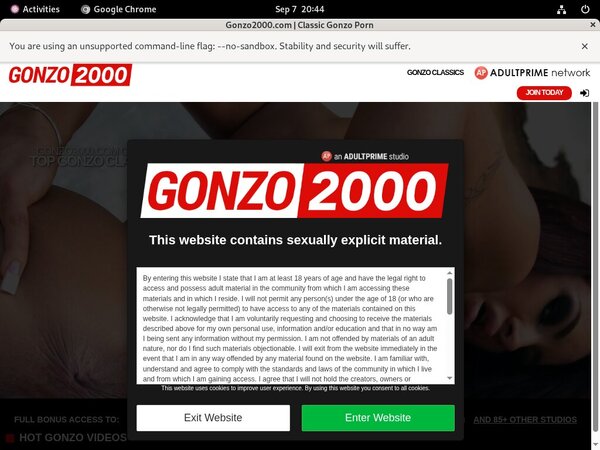 Gonzo2000.com Promo Code 2018