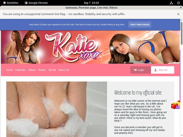 Katiexoxo Paypal Checkout