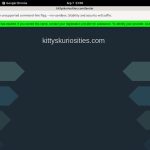 Kitty’s Kuriosities Free Galleries
