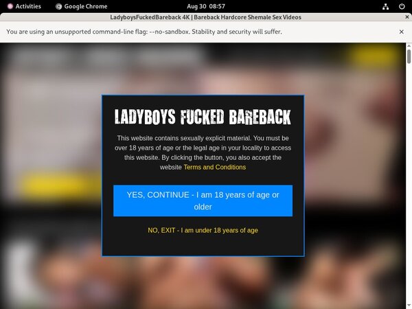 Ladyboys Fucked Bareback Payporn Discount