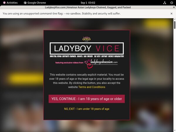 Ladyboyvice Limited Deal