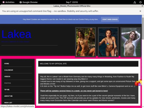 Lakea-model Get A Password