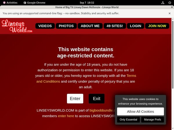 Linseysworld Discount Cheapest