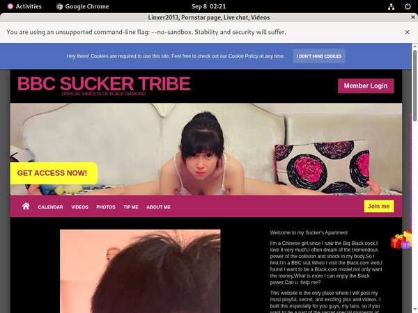 Linxer2013 Facebook