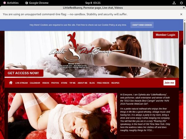 LittleRedBunny Premium Account