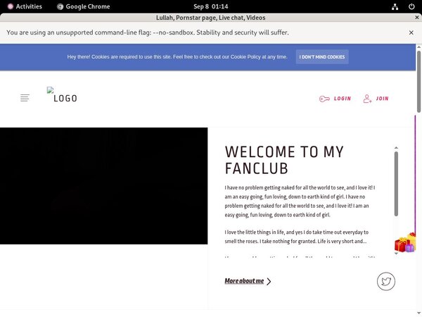 Lullah.modelcentro.com Access