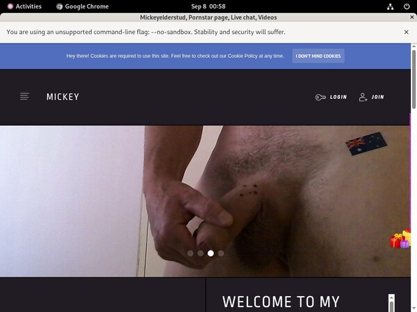 Mickeyelderstud Bankeinzug