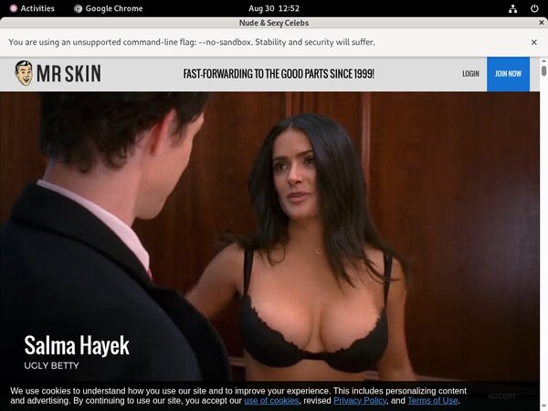 Mr Skin Account 2014