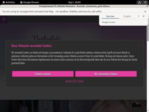 Parkplatzluder19 Accounts Password