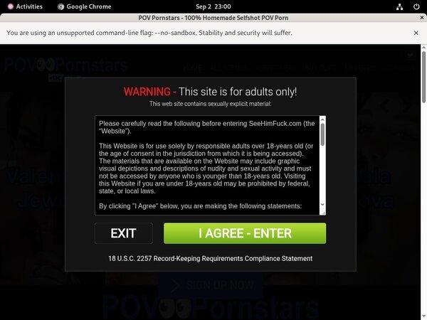 Pornstars POV Passwords