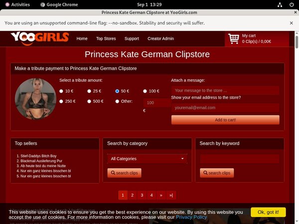 Princess Kate German Passwort