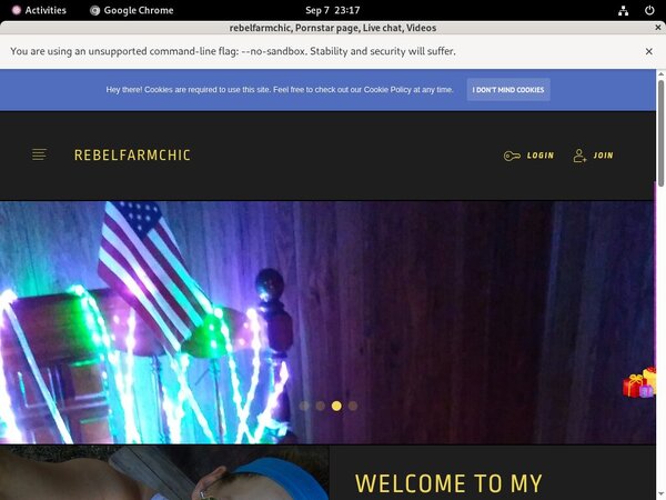 Rebelfarmchic.modelcentro.com Login Free