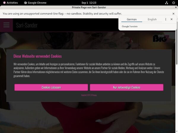 SariSander Hot Sex