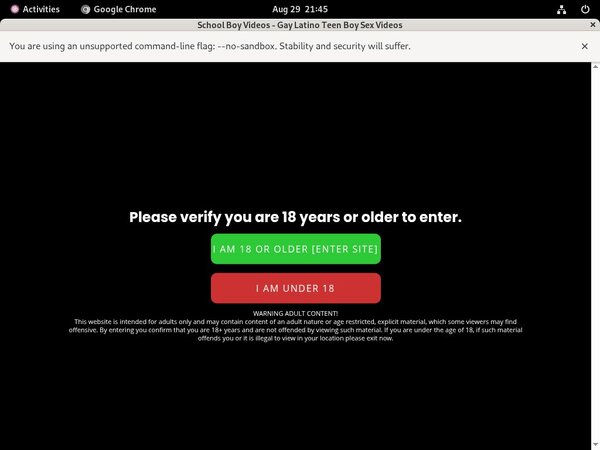 Schoolboyvideos.com Login Ids