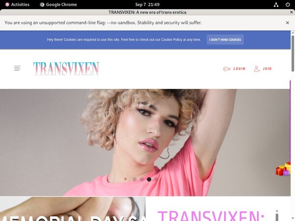 Site Rip Transvixen