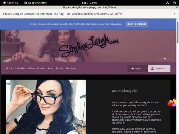 Skylar Leigh Site