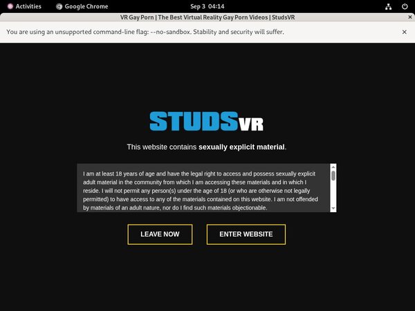 Studs VR Pornstars