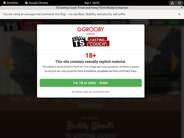TS Casting Couch Site Rip Url