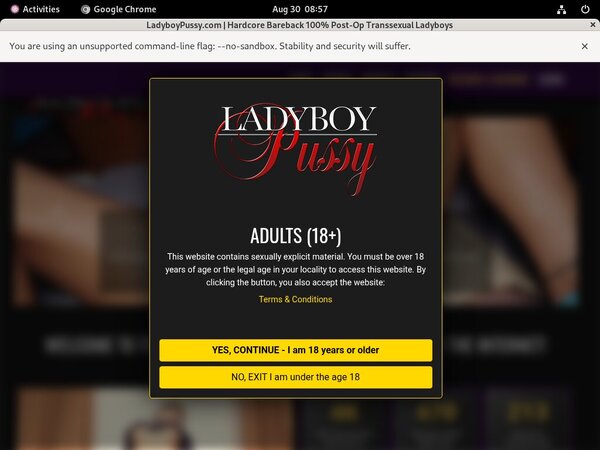Trial Ladyboypussy Account Trial Ladyboypussy Account