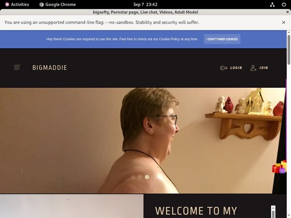 Use Paypal Bigmaddie.com
