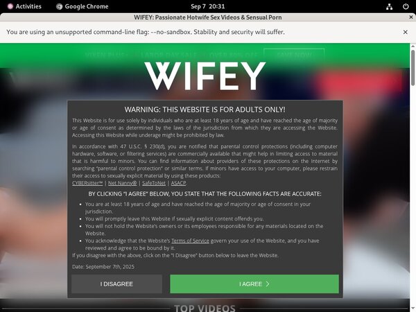 Wifey Network Password